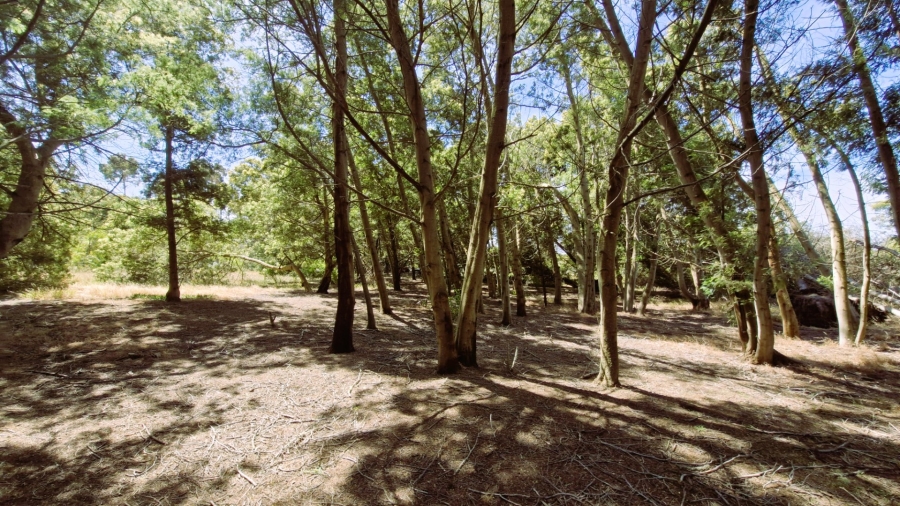 Commercial Property for Sale in Napier Western Cape